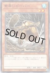 画像: 【ノーマル】素早いビーバー