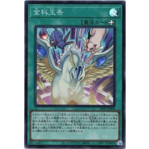 画像: 【スーパー】金科玉条