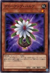 画像: 【ノーマル】グローアップ・バルブ