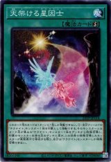 画像: 【ノーマル】天架ける星因士