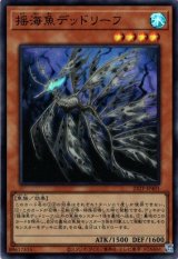 画像: 【スーパー】揺海魚デッドリーフ
