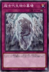 画像: 【ノーマル】超古代生物の墓場