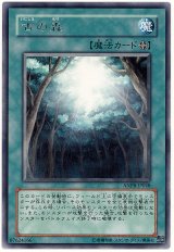 画像: 【レア】古の森