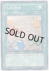画像: 【ノーマル】化石調査