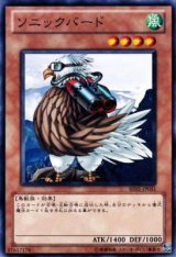 画像: 【ノーマル】ソニックバード