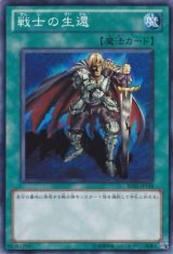 画像: 【ノーマル】戦士の生還