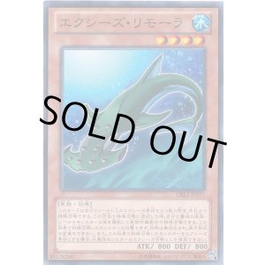 画像: 【ノーマル】エクシーズ・リモーラ