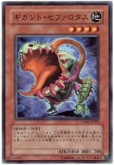 画像: 【ノーマル】ギガント・セファロタス