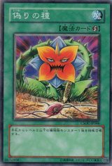 画像: 【ノーマル】偽りの種