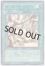 画像: 【レア】魔法族の里