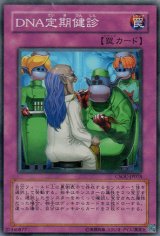 画像: 【ノーマル】ＤＮＡ定期健診