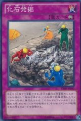 画像: 【ノーマル】化石発掘
