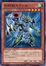 画像: 【ノーマル】剣闘獣セクトル
