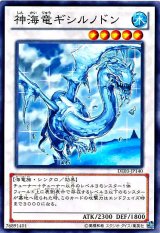 画像: 【ノーマル】神海竜ギシルノドン