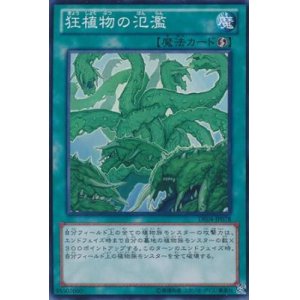 画像: 【ノーマル】狂植物の氾濫