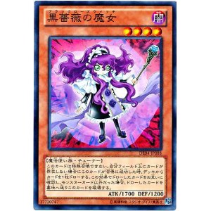 画像: 【ノーマル】黒薔薇の魔女