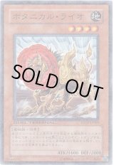 画像: 【ノーマルレア】ボタニカル・ライオ