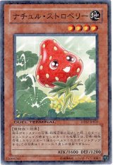画像: 【ノーマル】ナチュル・ストロベリー