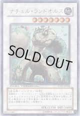 画像: 【ウルトラ】ナチュル・ランドオルス
