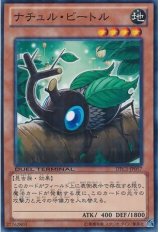 画像: 【ノーマル】ナチュル・ビートル