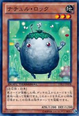 画像: 【ノーマル】ナチュル・ロック