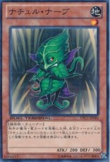 画像: 【ノーマル】ナチュル・ナーブ
