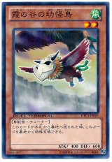 画像: 【ノーマル】霞の谷の幼怪鳥