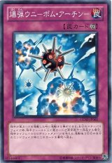 画像: 【ノーマル】爆弾ウニ－ボム・アーチン－