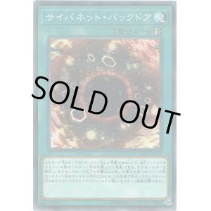 画像: 【パラレル】サイバネット・バックドア