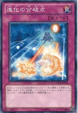画像: 【ノーマル】進化の分岐点