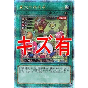 画像: 『キズ有特価』【25thシク】墓穴の指名者(新)