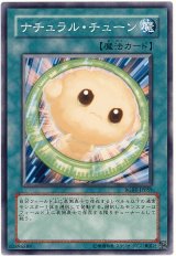 画像: 【ノーマル】ナチュラル・チューン