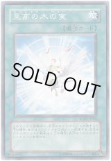 画像: 【ノーマルレア】至高の木の実