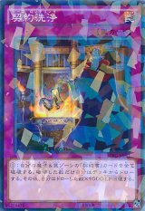 画像: 【ノーマルパラレル】契約洗浄