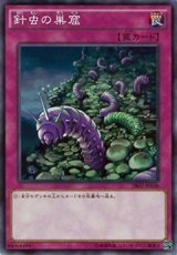 画像: 【ノーマル】針虫の巣窟