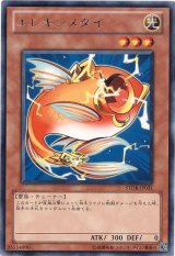画像: 【レア】エレキンメダイ