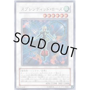 画像: 【ウルトラ】スプレンディッド・ローズ