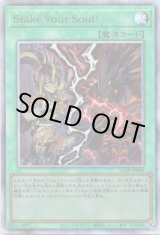 画像: 【アルティメット】Stake Your Soul！