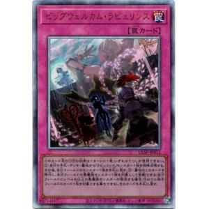 画像: 【アルティメット】ビッグウェルカム・ラビュリンス