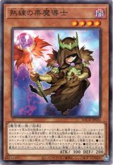 画像: 【ノーマル】熟練の栗魔導士