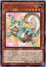 画像: 【ノーマル】ニャータリング