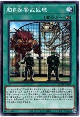画像: 【ノーマル】超自然警戒区域
