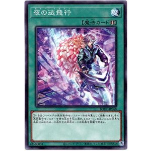 画像: 【ノーマル】夜の逃飛行