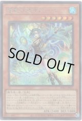 画像: 【シークレット】耀聖の波詩ディーナ