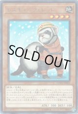 画像: 【レア】レスキューフェレット