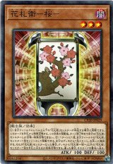 画像: 【ノーマル】花札衛－桜－
