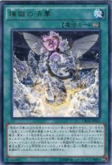 画像: 【レア】煉獄の消華