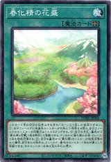 画像: 【ノーマル】春化精の花盛