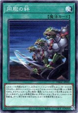 画像: 【ノーマル】同胞の絆
