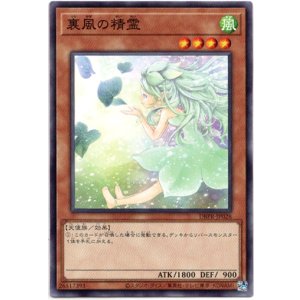 画像: 【ノーマル】裏風の精霊